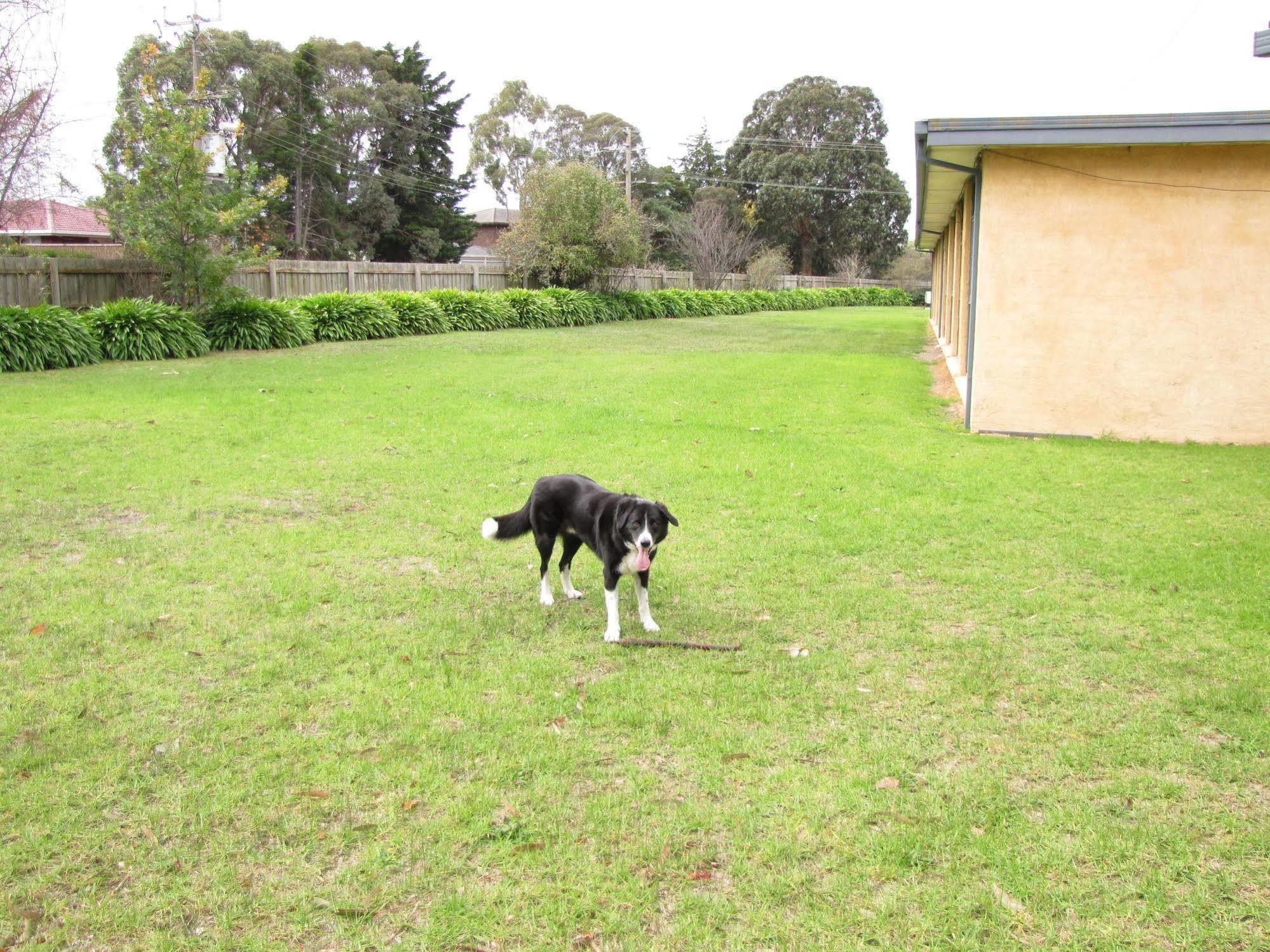 Motel Traralgon Exterior photo